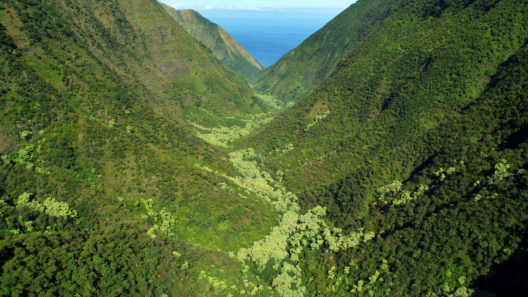 molokai valleys