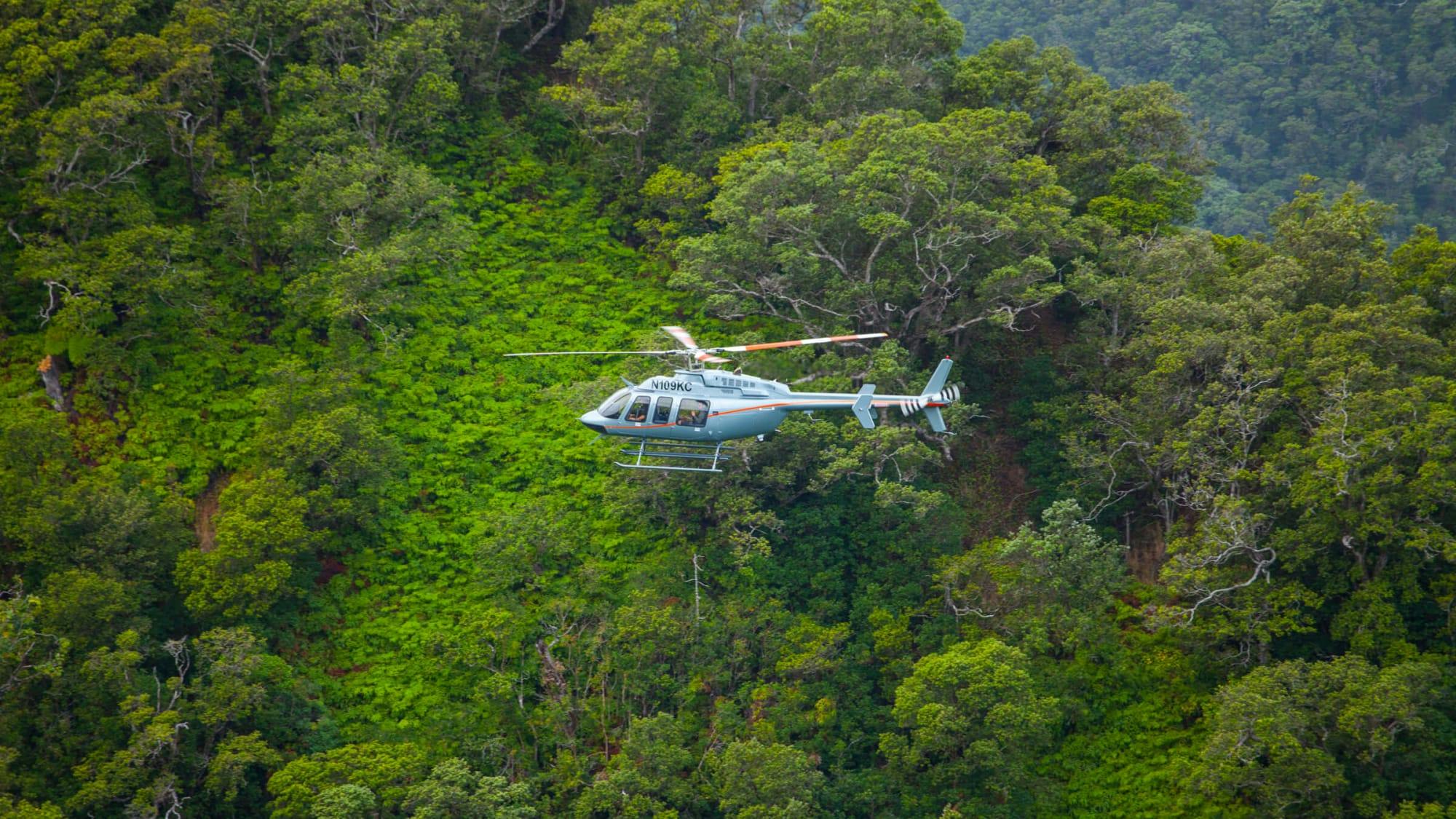 Helicopter flying over lush, green foliage 