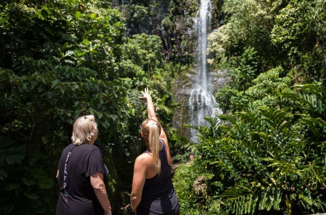 guests looking at waterfalls